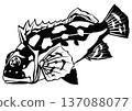 Cute black and white cut-out illustration of a scorpionfish with bright eyes 137088077