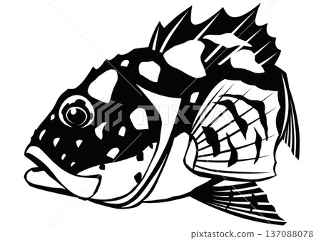 What do you think? It's a cool fish! Black and white cut-out and collage illustration of a rockfish. 137088078
