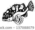 A black and white cut-out collage illustration of a tough-looking but delicious scorpion fish 137088079