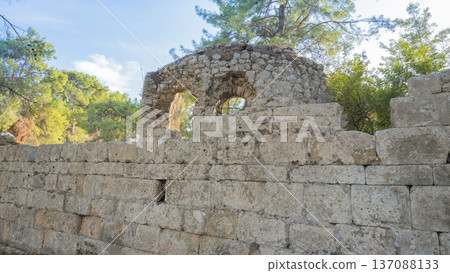 The ruins of the ancient city of Phaselis in Lycia in modern Turkey. The remains of the columns and the capital The ruins of the ancient city of Phaselis in Lycia in modern Turkey. The remains of the columns and the capital 137088133