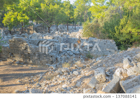 Phaselis, Ancient city, forest. Northern Necropolis is a cemetery with elaborate tombstones. Turkey. Phaselis, Ancient city, forest. Northern Necropolis is a cemetery with elaborate tombstones. Turkey. 137088141