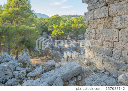 Phaselis, Ancient city, forest. Northern Necropolis is a cemetery with elaborate tombstones. Turkey. Phaselis, Ancient city, forest. Northern Necropolis is a cemetery with elaborate tombstones. Turkey. 137088142