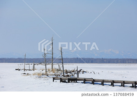 冰雪覆蓋的湖 137088459