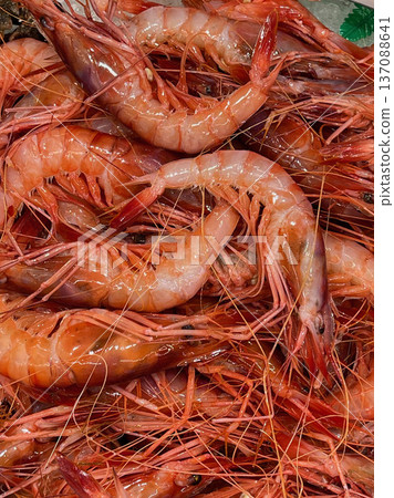 Fresh Prawns as Gourmet Seafood Fresh Prawns as Gourmet Seafood 137088641