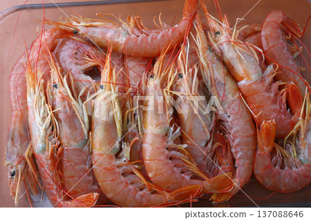 Fresh Prawns as Gourmet Seafood Fresh Prawns as Gourmet Seafood 137088646