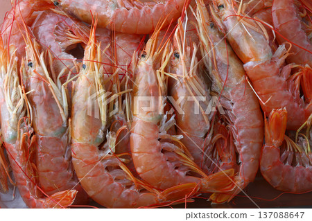 Fresh Prawns as Gourmet Seafood Fresh Prawns as Gourmet Seafood 137088647