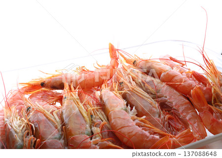 Fresh Prawns as Gourmet Seafood Fresh Prawns as Gourmet Seafood 137088648
