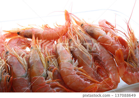 Fresh Prawns as Gourmet Seafood Fresh Prawns as Gourmet Seafood 137088649