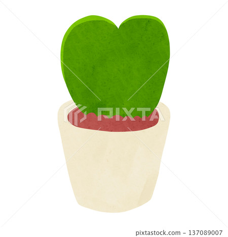 Potted Hoya curli - watercolor hand-drawn illustration 137089007