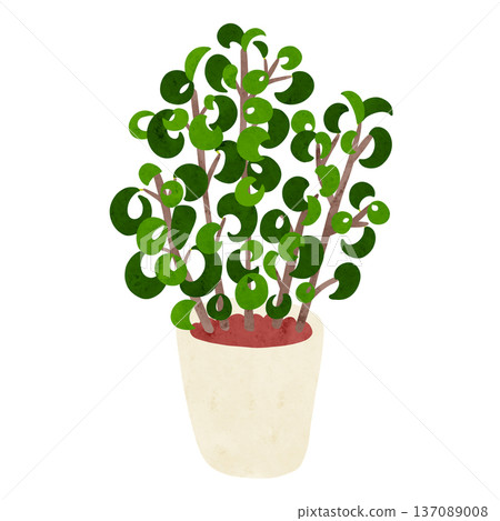Benjamin Baroque potted plant, watercolor hand-drawn illustration 137089008