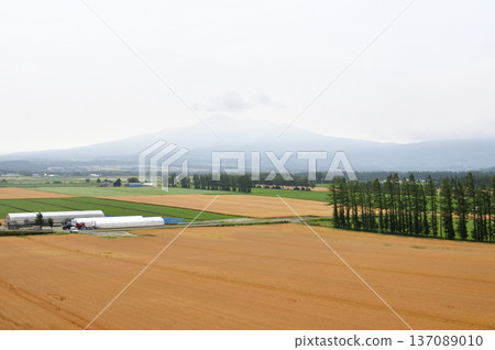 清裡町神威的鄉村景色 清裡町神威的鄉村景色 137089010