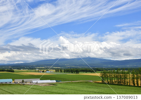 清裡町神威的鄉村景色 清裡町神威的鄉村景色 137089013