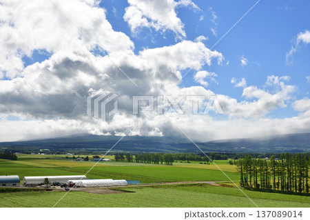 清裡町神威的鄉村景色 清裡町神威的鄉村景色 137089014