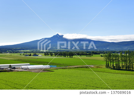 清裡町神威的鄉村景色 清裡町神威的鄉村景色 137089016