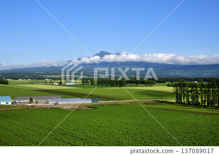 清裡町神威的鄉村景色 137089017