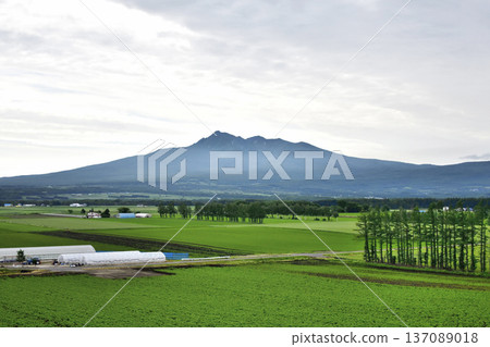 清裡町神威的鄉村景色 137089018