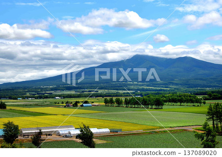 清裡町神威的鄉村景色 清裡町神威的鄉村景色 137089020