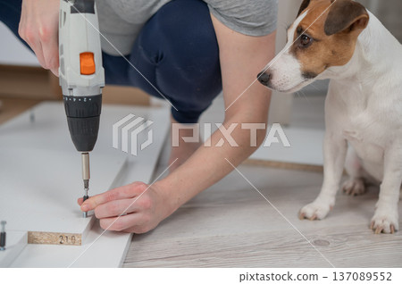 A Caucasian woman uses a screwdriver to tighten a screw while assembling a cabinet. A Caucasian woman uses a screwdriver to tighten a screw while assembling a cabinet. 137089552