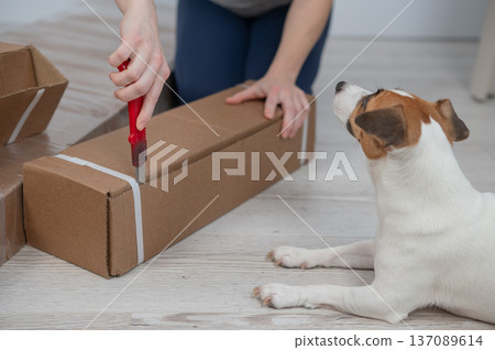 A Caucasian woman unpacks a box of furniture. 137089614