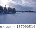 Akita's snow fields 137090514