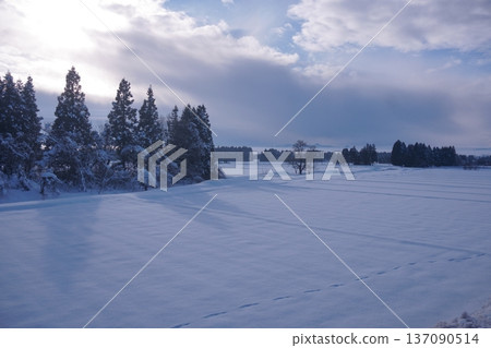 秋田的雪原 秋田的雪原 137090514