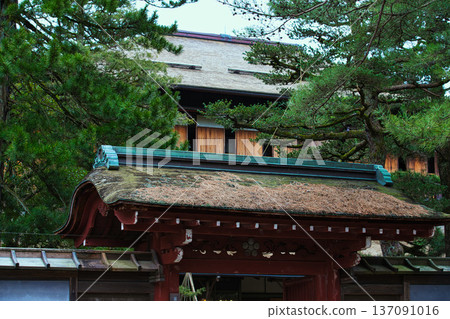 Spring arrives in this famous garden Spring arrives in this famous garden 137091016