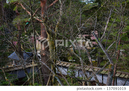 春天降臨這座著名的花園 春天降臨這座著名的花園 137091019