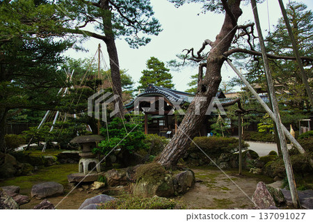 春天降臨這座著名的花園 137091027