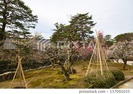 春天降臨這座著名的花園 137091035