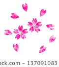 生動的水彩櫻花花瓣和盛開櫻花的插圖材料。 137091083
