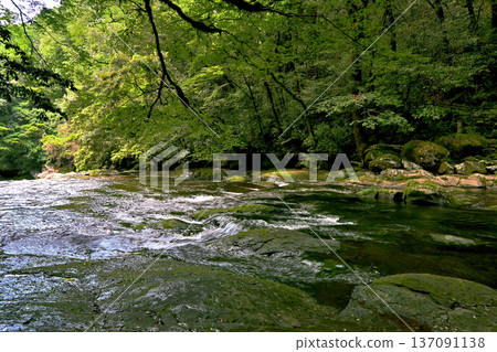 Kikuchi Valley of fresh green Kikuchi Valley of fresh green 137091138