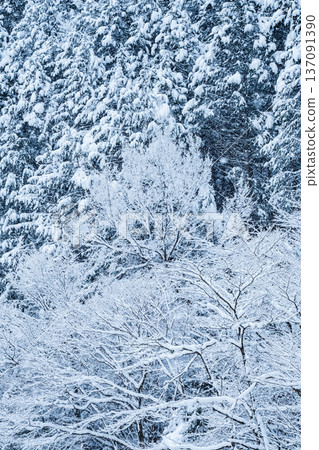 冬天 137091390
