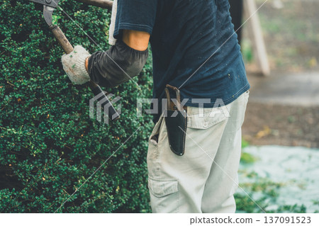 pruning, gents, male 137091523