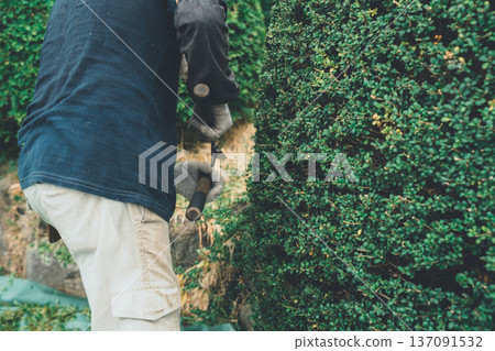 pruning, gents, male 137091532