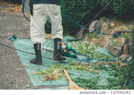 pruning, falling leafe, male 137091541