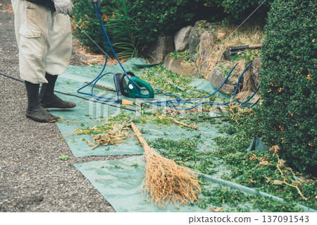gardener, landscaper, pruning 137091543
