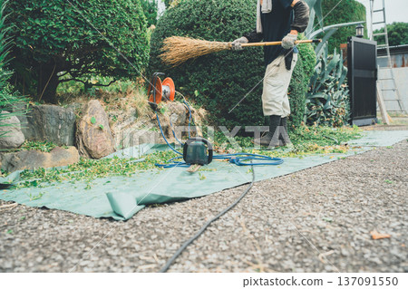 garden, pruning, gardening 137091550