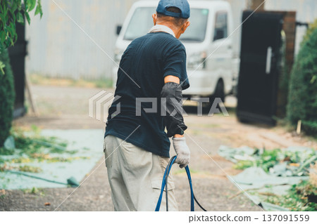 pruning, gents, male 137091559
