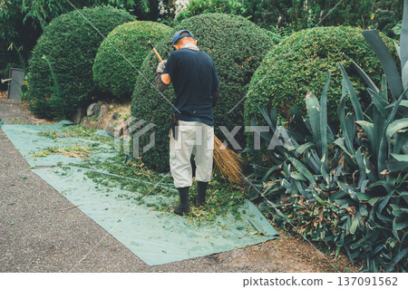 園丁 花園 院子 137091562