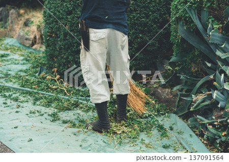 gardener, landscaper, garden 137091564