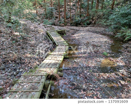 Takatoriyama hiking trail 137091609