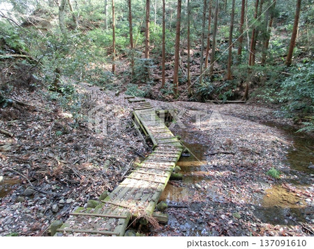 Takatoriyama hiking trail Takatoriyama hiking trail 137091610