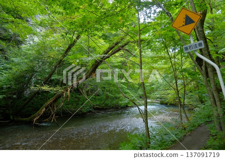 A road sign warning of falling rocks and a deep forest on a footpath along a mountain stream A road sign warning of falling rocks and a deep forest on a footpath along a mountain stream 137091719