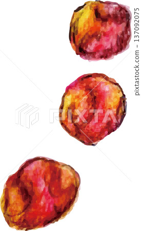 手繪醃梅 137092075