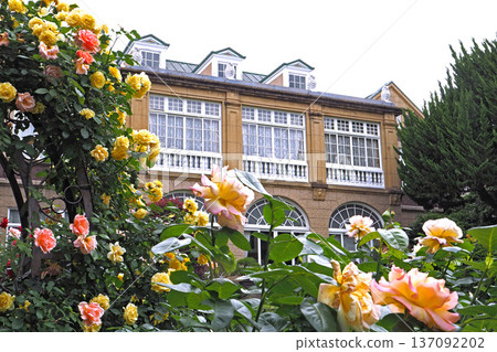 鳩山會館玫瑰與西式建築（東京都文京區） 137092202