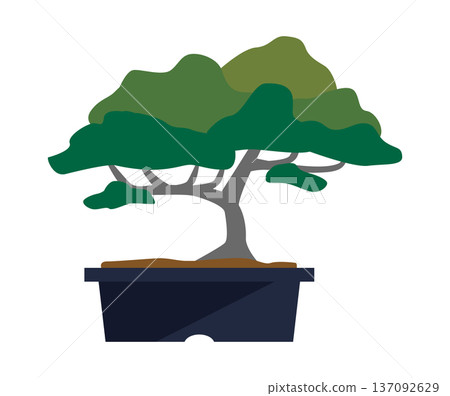 simple bonsai illustration simple bonsai illustration 137092629