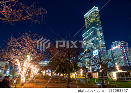 從Tennoji公園看見的Apen沒有Harukas夜視圖 137093867