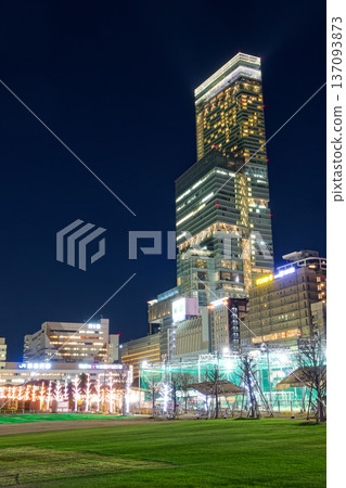 從Tennoji公園看見的Apen沒有Harukas夜視圖 137093873