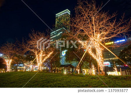 從Tennoji公園看見的Apen沒有Harukas夜視圖 137093877