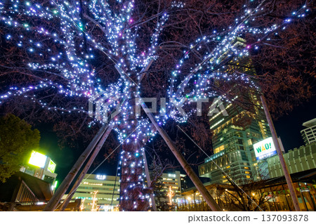 從Tennoji公園看見的Apen沒有Harukas夜視圖 137093878